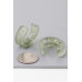 Multi Marble Stone Hoop Earrings - CC-WH2002256