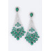 Rhinestone Earring - CC-WH2002263