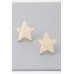 Im A Star Hammered Earrings - CC-WH2002301