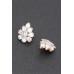 Rhinestone Earring - CC-WH2002336