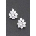 Rhinestone Earring - CC-WH2002336