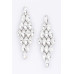 Rhinestone Earring - CC-WH2002342