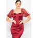 Lace Sleeves Back Zipped Mini Dress