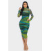 Glitch Print Mesh Ruched Midi Dress