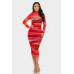 Glitch Print Mesh Ruched Midi Dress
