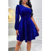 One Shoulder Velvet Lantern Sleeve Cinched Dress