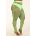 Panty Lined Mesh Leggings