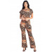 Zebra Print Crop Top And Palazzo Pants Set