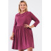 Plus Pleated Preppy Fit & Flare Long Sleeve Asymmetrical Peter Pan Collar Mini Dress