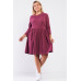 Plus Pleated Preppy Fit & Flare Long Sleeve Asymmetrical Peter Pan Collar Mini Dress