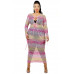 Plus See-through Gradient Fishnet Overlay Dress