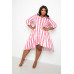 Stripe Shirt Dress