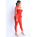Mesh Crop Jumpsuit Set