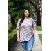 Plus Stripe Bell Short Sleeve Top