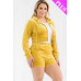 Plus Size Velour Crop Zip Up Hoodie And Shorts Set