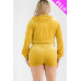 Plus Size Velour Crop Zip Up Hoodie And Shorts Set