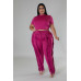 Crop Top Two-piece Set
