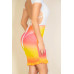 Ruched Ruffle Trim Mesh Mini Bodycon Skirt