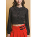 Short collard sweater