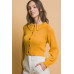Short collard sweater