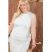 Lace Crochet Mini Raglan Dress With Zipper Back