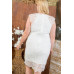 Lace Crochet Mini Raglan Dress With Zipper Back