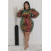 Non-stretch Round Neckline Dress