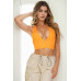 Ribbed Knit Plunge Neck Crop Top