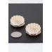 Contemporary Clam Shell Earrings - CC-WH2000862