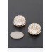 Jeweled Clam Shell Earrings - Designer Style - CC-WH2000864