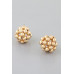 Multi Beaded Dome Stud Earrings - Designer Style - CC-WH2001866