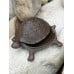 Turtle Cast Iron Key Hider