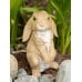 Curious Rabbit Garden Statue