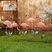 Multi Flamingo Garden Stake