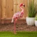 Pretty Flamingo With Solar Light