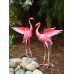 Large Flying Flamingo