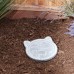 You Are Always In Our Hearts- Cat Memorial Stepping Stone