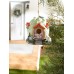 Cabbage Cottage Birdhouse