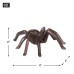 Cast Iron Spider Paperweight