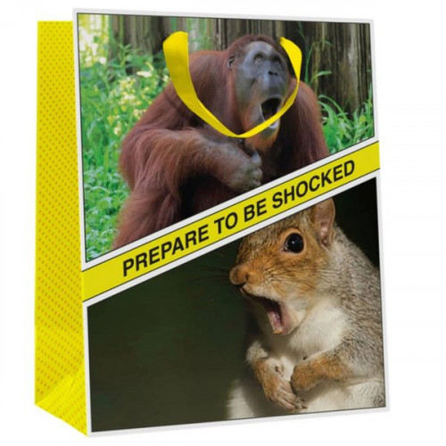 What Do You Meme Prepare to be Shocked Gift Bag What Do You Meme Prepare to be Shocked Gift Bag