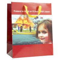 What Do You Meme Pretend to Like or Burn Gift Bag