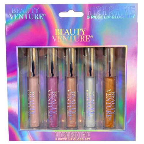 Beauty Venture 5 Piece High Shine Lip Gloss Set in Natural Tones