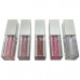 Beauty Venture 5 Piece Lip Oil Set Infused with Vitamin E in Metallic Tones