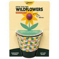Buzzy Grow Your Own Wildflowers Complete  Grow Kit in Purple