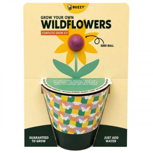 Buzzy Grow Your Own Wildflowers Complete Grow Kit in Purple Buzzy Grow Your Own Wildflowers Complete Grow Kit in Purple