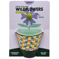 Buzzy Grow Your Own Wildflowers Complete  Grow Kit in Green
