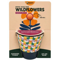 Buzzy Grow Your Own Wildflowers Complete  Grow Kit in Orange