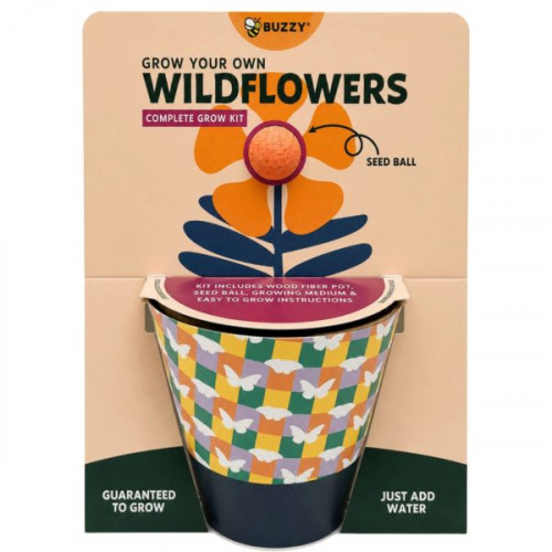 Buzzy Grow Your Own Wildflowers Complete Grow Kit in Orange Buzzy Grow Your Own Wildflowers Complete Grow Kit in Orange