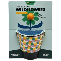 Buzzy Grow Your Own Wildflowers Complete  Grow Kit in Yellow