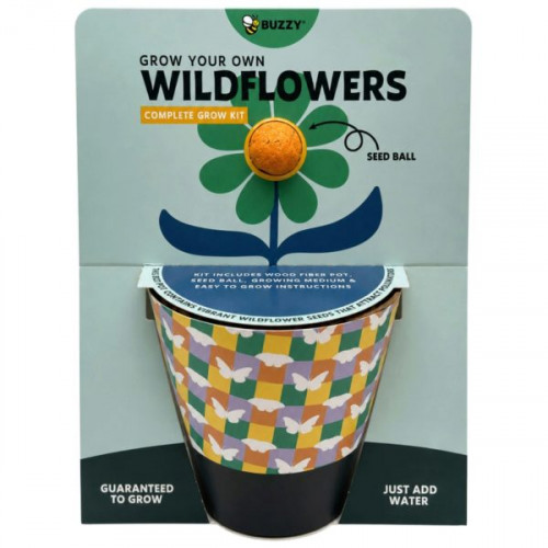 Buzzy Grow Your Own Wildflowers Complete Grow Kit in Yellow Buzzy Grow Your Own Wildflowers Complete Grow Kit in Yellow